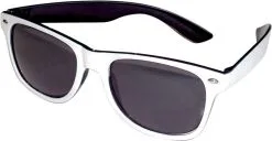 Blues Brothers Bril Wit/Zwart