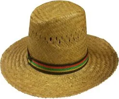 Budget Cowboyhoed Dallas Naturel