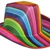 Cowboyhoed Regenboog
