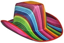 Cowboyhoed Regenboog