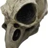 Crow Skull Masker Latex Luxe
