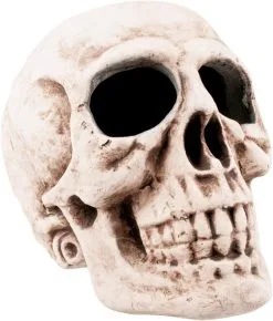 Decoratie Schedel Skull (47x35cm)