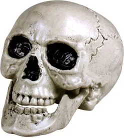 Decoratie Skull (beweegbare Kaak)