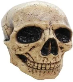 Doodshoofd Skull Masker Latex Luxe