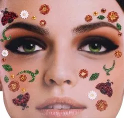 Gezicht Stickers Lieveheersbeestje