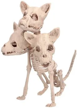 Halloween Decoratie Skelet Cerberus - 33cm