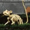 Halloween Decoratie Skelet Rat (20cm)