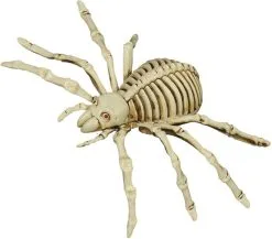 Halloween Decoratie Skelet Spin (12x25cm)