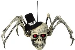 Halloween Decoratie Spinnenschedel (23x29cm)