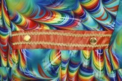 Heren Carnavalsjas Orange Rainbow Feathers -Kostuum Winkel heren carnavalsjas orange rainbow feathers detail