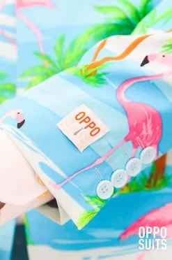 Herenkostuum OppoSuits Flaminguy -Kostuum Winkel herenkostuum opposuits flaminguy detail 2