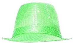 Hoedje Justin Pailletten Groen