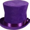 Hoge Hoed Flair Paars