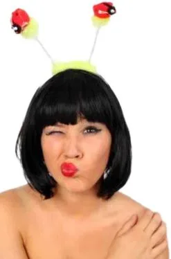 Hoofddiadeem Lieveheersbeestje