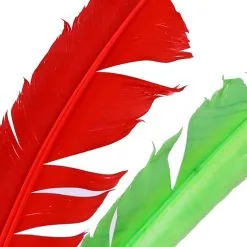 Indianentooi 2 Veren -Kostuum Winkel indianentooi 2 veren detail 2