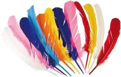 Indianenveren 30cm 12st.