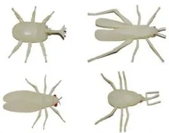 Insect Lichtgevend Ca. 20cm