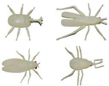 Insect Lichtgevend Ca. 20cm 1 Insect Lichtgevend Ca. 20cm