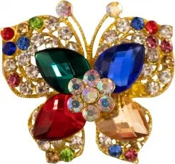 Luxe Broche Met Speld - Model 8