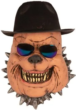 Masker Hond Met Bril En Hoed