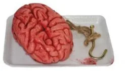 Nep Hersenen Met Bloed Op Een Schaaltje