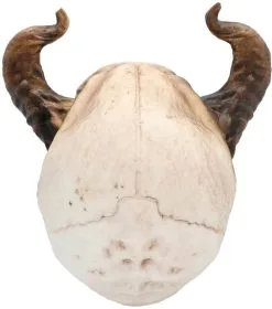 Schedel Duivel - 20cm -Kostuum Winkel schedel duivel 20cm achterkant