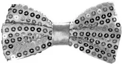 Strik Pailletten Zilver