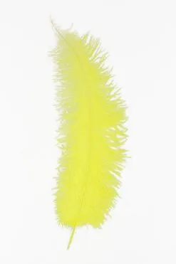 Struisvogelveren 50-60cm Geel