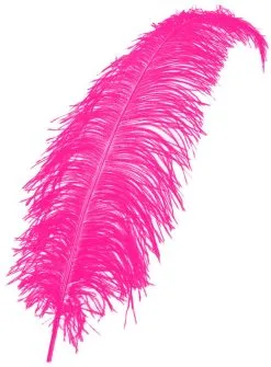 Struisvogelveren 50-60cm Pink