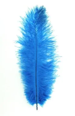 Struisvogelveren Ca. 30cm Turquoise