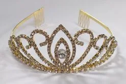 Tiara Strass Goud Anne