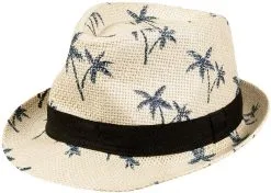 Trendy Hoedje Hawaii Met Palmbomen