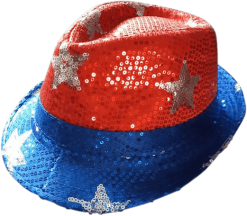 Trendy Hoedje USA - Amerika