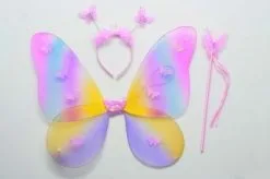 Vleugelset Rainbow 3dlg.