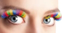 Wimpers Regenboog