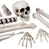 Zak Schedel+Beenderen Mini (12st)
