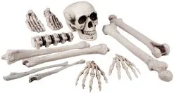 Zak Schedel+Beenderen Mini (12st)